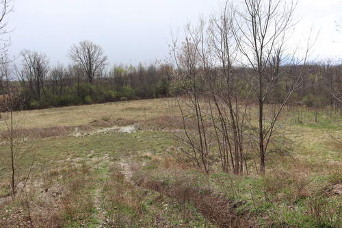 Chief Pontiac Speedway (Lake Angelus Speedway) - The Lot In April 2021 (newer photo)